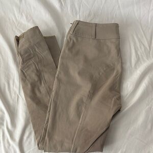 Tailored Sportsman side zip breeches